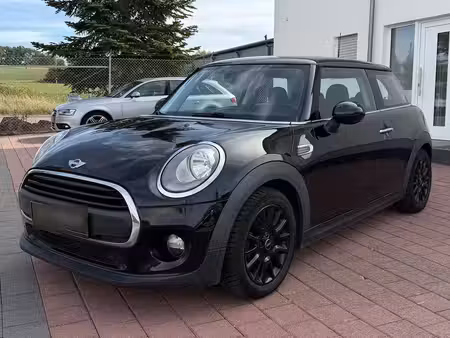 Mini Mini One