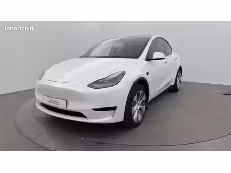 Tesla Model Y Standard 300