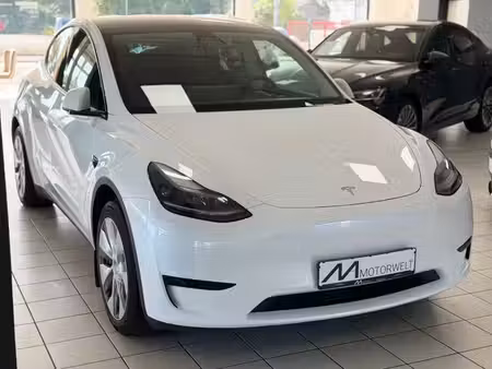 Tesla Model Y Standard 300