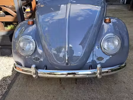 Volkswagen Beetle 