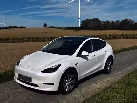 Tesla Model Y Standard 300