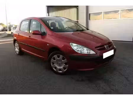 Peugeot 307 2.0 110
