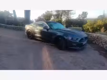 Ford Mustang Fastback V8 5.0