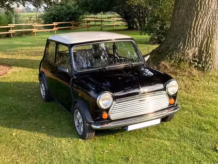 Rover Mini 1.3