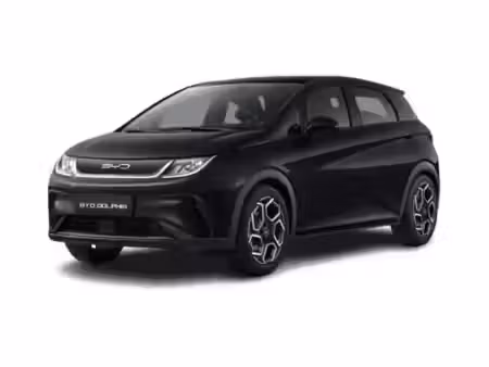 BYD Dolphin 204