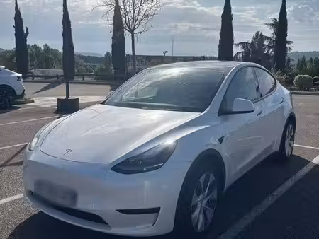Tesla Model Y Standard