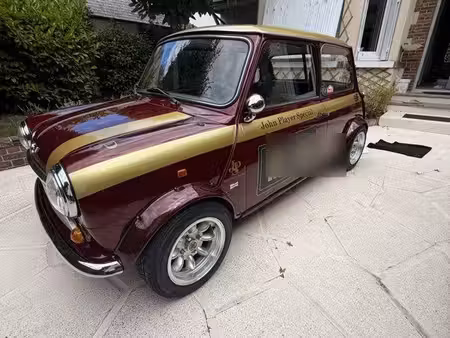 Mini Mini 