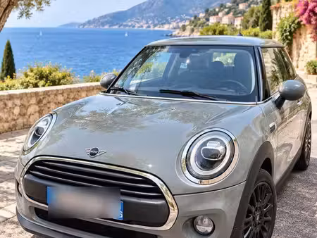 Mini Mini One 102