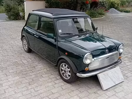 Rover Mini 1.3 53