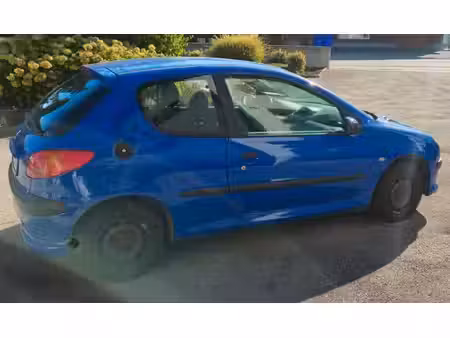 Peugeot 206 1.1 60
