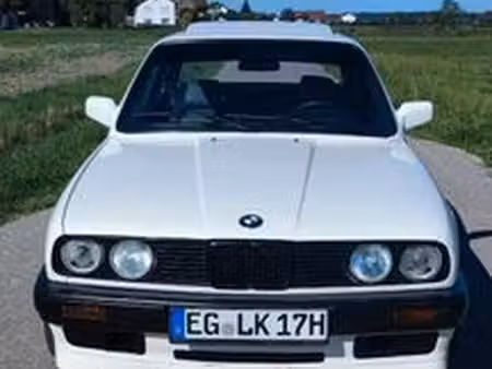 BMW Série 3 316 1.6