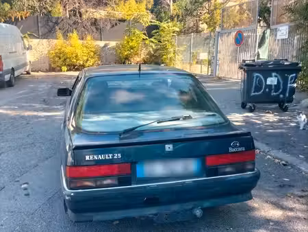 Renault R25 