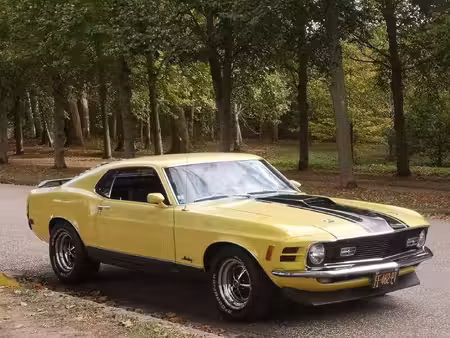 Ford Mustang Mach 1 V8 5.0