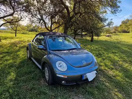 Volkswagen Beetle 
