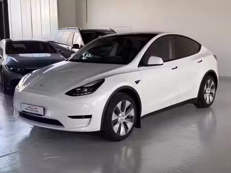 Tesla Model Y Standard 300