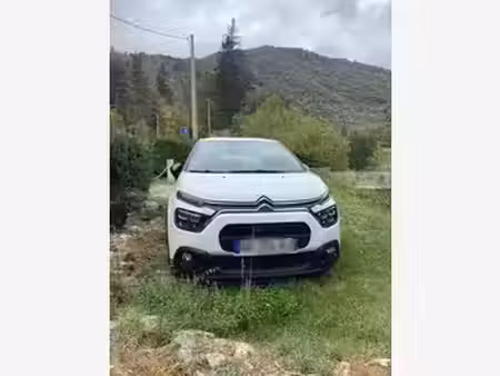 Citroën C3 1.5 HDi 100 Max
