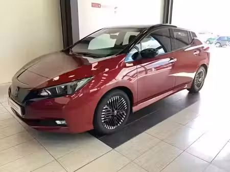 Nissan Leaf 150