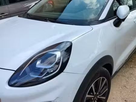 Ford Puma 1.0