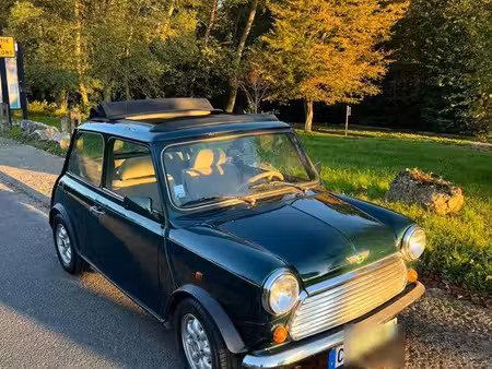 Rover Mini 1.3 53
