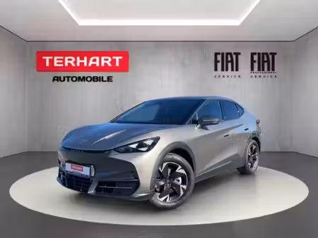 Cupra Tavascan 286