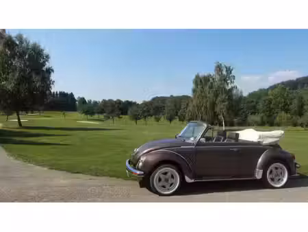 Volkswagen Beetle 1.3 50
