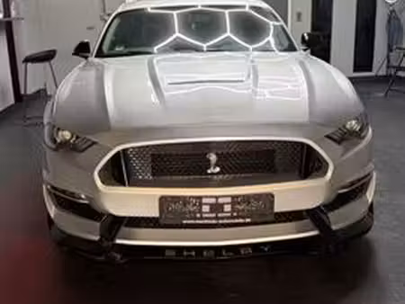 Ford Mustang Fastback 2.3 EcoBoost 290