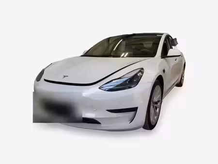 Tesla Model 3 Standard Plus 325