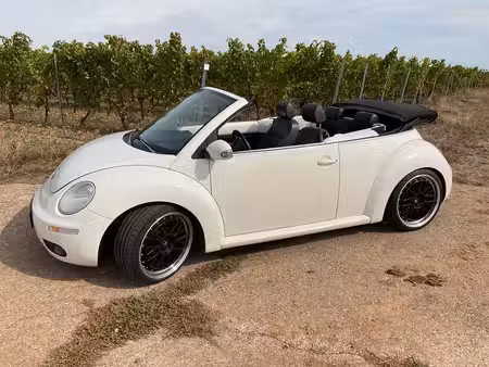 Volkswagen Beetle 
