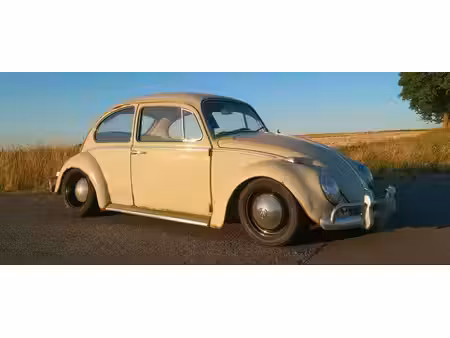 Volkswagen Beetle 