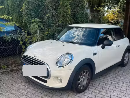 Mini Mini One