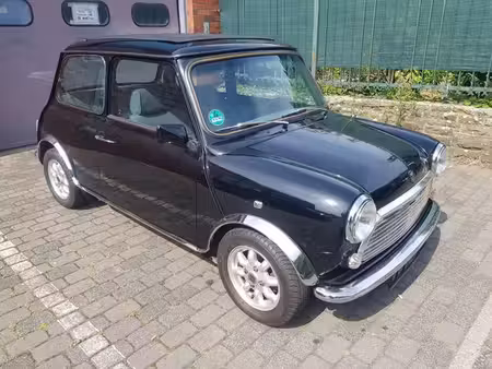 Mini Mini 1.0