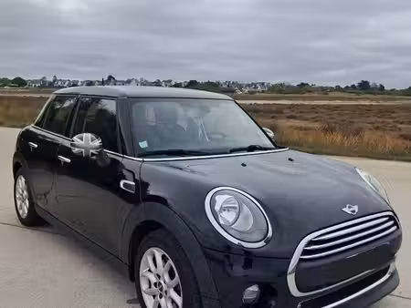 Mini Mini One 102