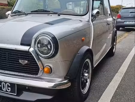 Rover Mini 1.3