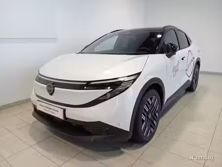 Nissan Leaf 217