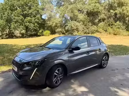Peugeot 208 1.2 PureTech 100 Style