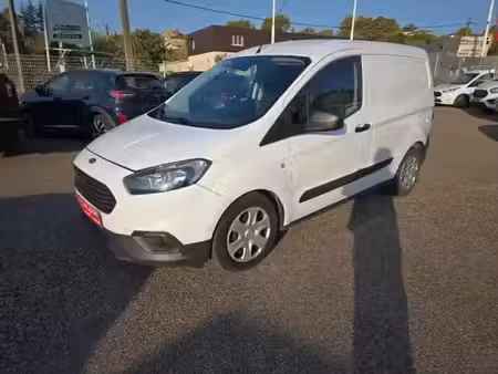 Ford Transit 1.5 100 Trend