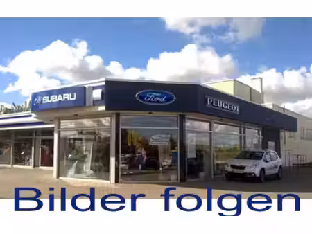 Ford Transit 2.0 TDCi 131 Trend