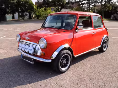 Mini Mini 1.0