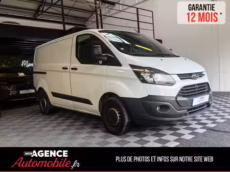 Ford Transit 2.2 TDCi 100 Trend