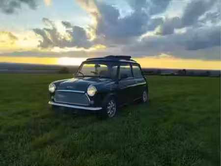 Rover Mini 1.3