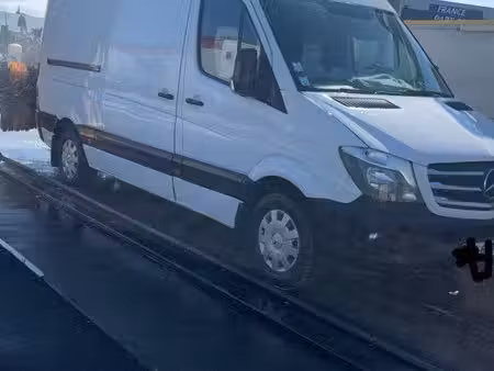 Mercedes-Benz Sprinter 313 129