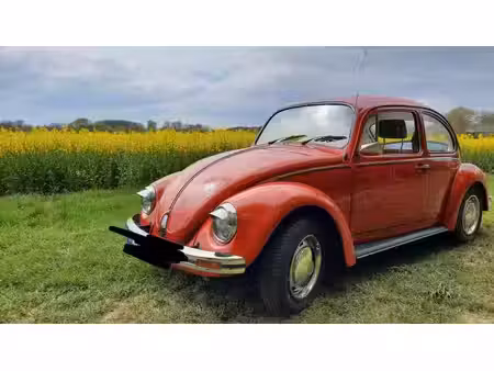 Volkswagen Beetle 