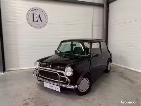 Mini Mini 
