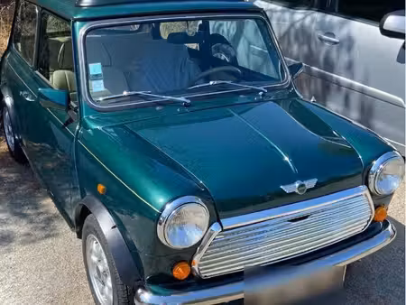Rover Mini 1.3 53
