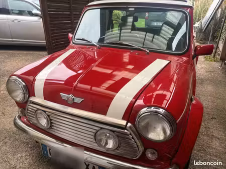 Rover Mini 1.3