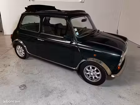 Rover Mini 1.3 53