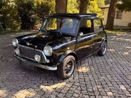 Mini Mini 