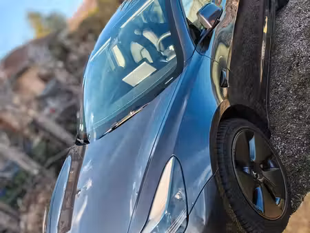 Tesla Model 3 275