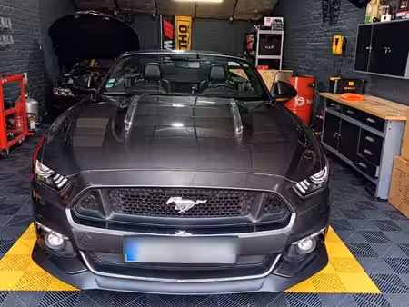 Ford Mustang Fastback V8 5.0 421
