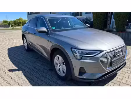 Audi e-tron 313 quattro